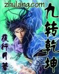 九转乾坤 作者：夜行月