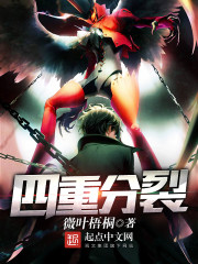 四重分裂 作者：微叶梧桐