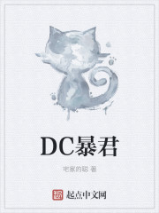 DC暴君 作者：宅家的聪