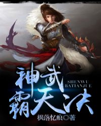 神武霸天决 作者：枫落忆痕