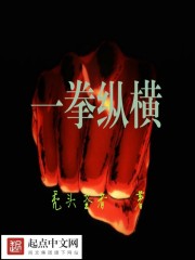 一拳纵横 作者：秃头圣者