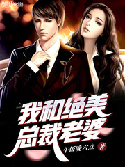 我和绝美总裁老婆 作者：午饭晚六点