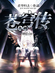 九州苍穹传 作者：君望归去