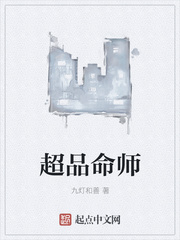 超品命师 作者：九灯和善
