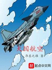 大国航空 作者：华东之雄
