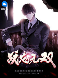 战龙无双 作者：白玉求瑕