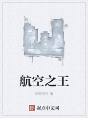 航空之王 作者：湘南明月
