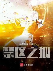 禁区之狐 作者：林海听涛