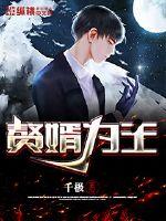 赘婿为王 作者：千极