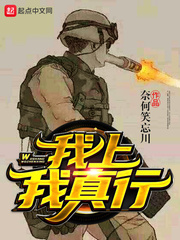 我上我真行 作者：奈何笑忘川