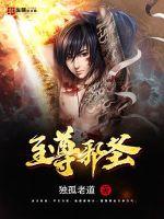 至尊邪圣 作者：独孤老道