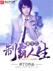 重生之弥憾 作者：邓丁