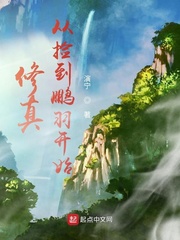修真从捡到鹏羽开始 作者：演宁