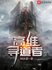 高维寻道者 作者：鹓扶君
