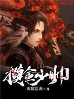 摸金少帅 作者：禹陵后裔