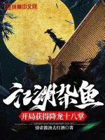 江湖杂鱼，开局获得降龙十八掌 作者：提壶酱油去打酒