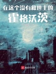 在这个没有救世主的霍格沃茨 作者：大海船