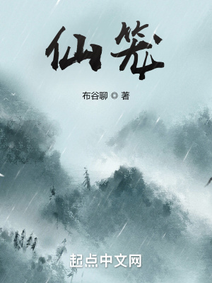 仙笼 作者：布谷聊