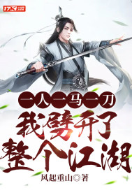一人一马一刀，我劈开了整个江湖 作者：风起重山