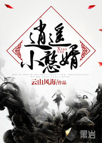 逍遥小憨婿 作者：云山风海