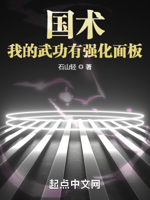 国术！我的武功有强化面板 作者：石山轻