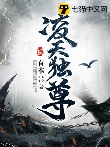 凌天独尊 作者：有木