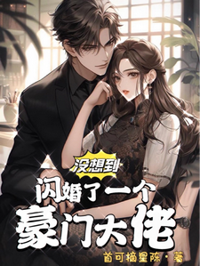 没想到闪婚了个豪门大佬 作者：首可摘星陈