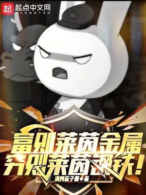 富则莱茵金属，穷则莱茵钢铁！ 作者：清炖莲子羹