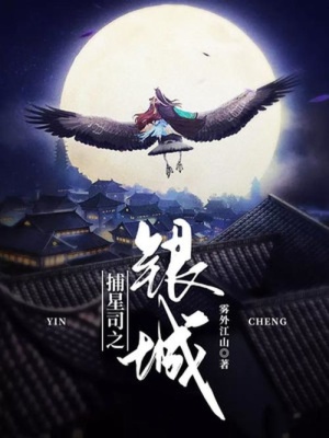 捕星司之银城 作者：雾外江山