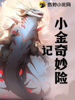小金奇妙险记 作者：阿金皮皮