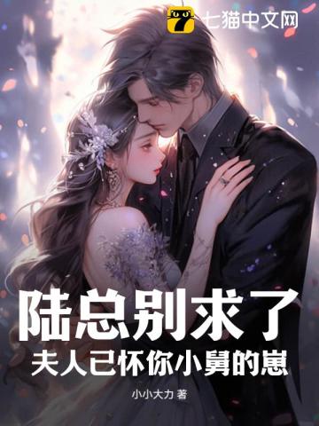 陆总别求了，夫人已被宠上天 作者：小小大力