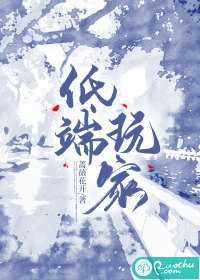 低端玩家 作者：蔷薇花开