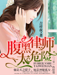 一路上有你，律师老公太危险 作者：吉祥夜