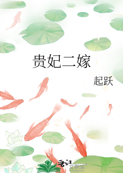 贵妃二嫁 作者：起跃