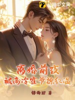 离婚前夜，被高冷霍爷撩红温 作者：锦雨初