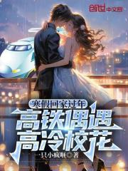 寒假回家过年，高铁偶遇高冷校花 作者：一只小疯咂