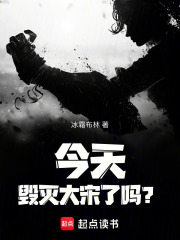 今天毁灭大宋了吗？ 作者：冰霜布林