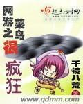 网游之菜鸟很疯狂 作者：千镜八荒