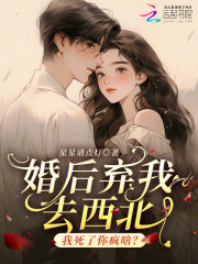 婚后弃我去西北，我死了你疯啥？ 作者：星星请点灯