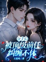 《分手后，被顶级前任纠缠不休》