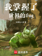 《我掌握了世界的Bug》