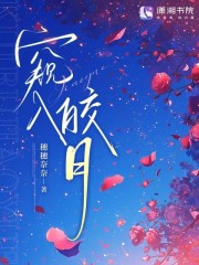《窥入皎月》