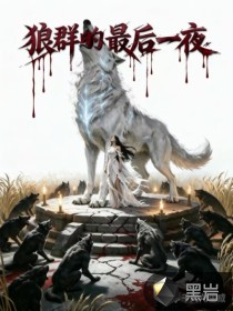 《狼群的最后一夜》