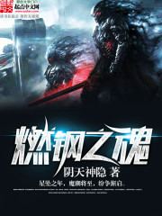 燃钢之魂 作者：阴天神隐