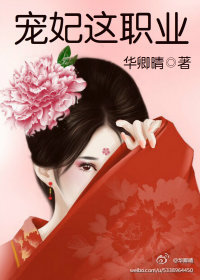 宠妃这职业 作者：华卿晴