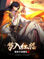 梦入红楼 作者：桃李不谙春风